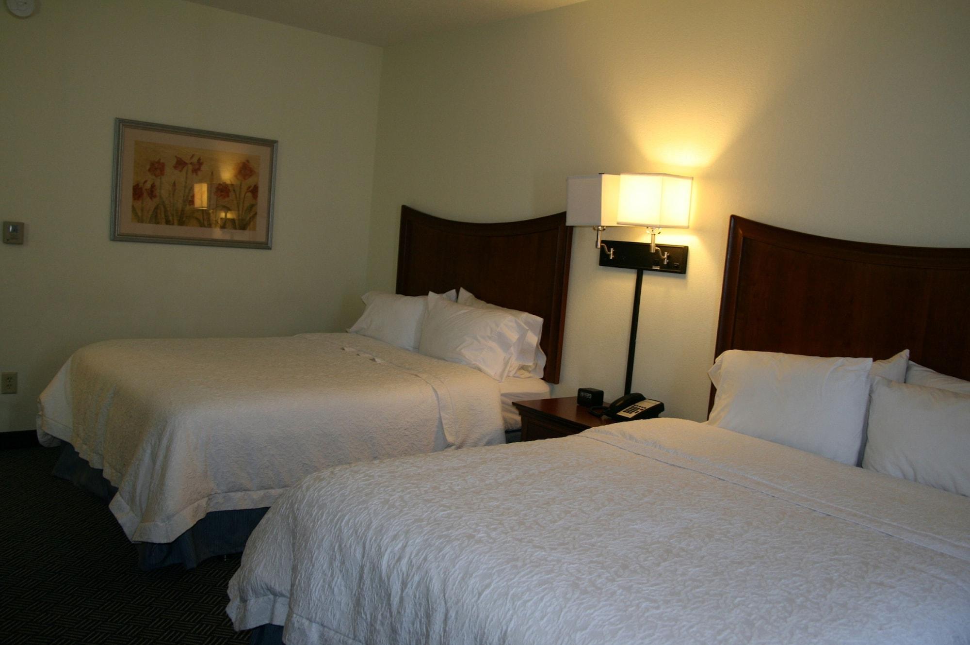 Hampton Pine Grove